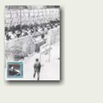 Bundesrepublik Deutschland – Postkarte "50 Jahre Deutsche Teilung"